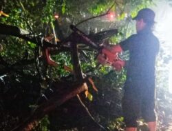 Pemkot Tangerang Sigap Atasi Pohon Tumbang di Dua Titik, Pastikan Lalu Lintas Lancar